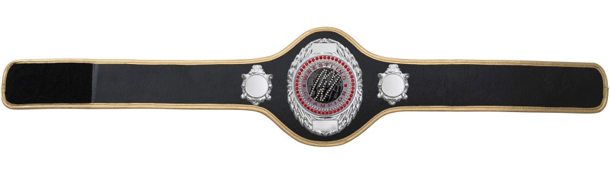 WRESTLING BELT-PRO286/S/WRESTGEMS-10+ COLOURS
